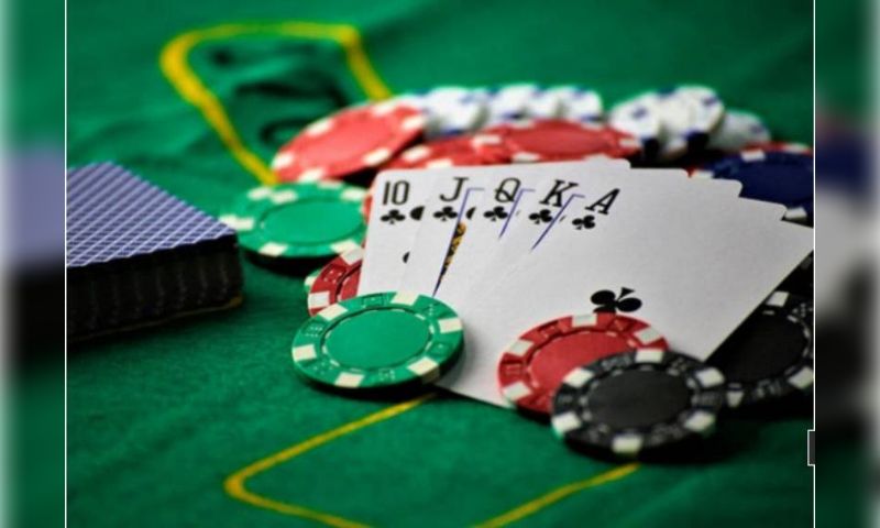 Người chơi có thể tùy chọn cho mình một thể loại game yêu thích